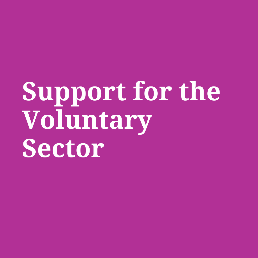 Support for the Voluntary Sector